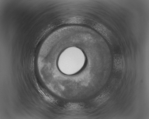 X0000084570534200702231301