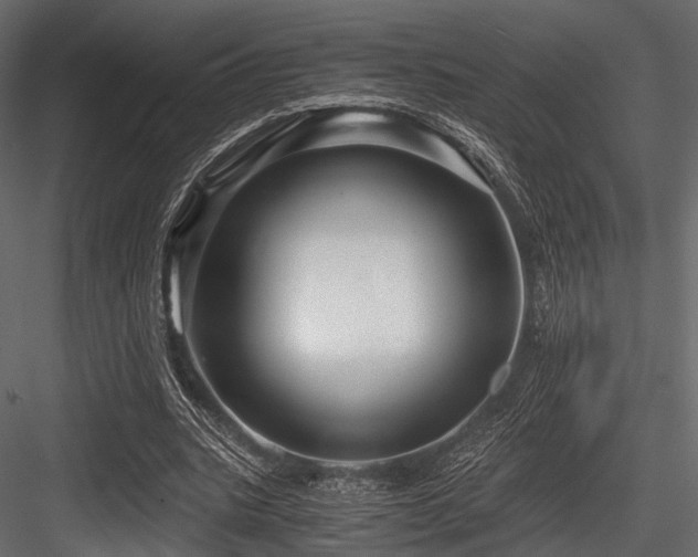 X0000084570535200702231301