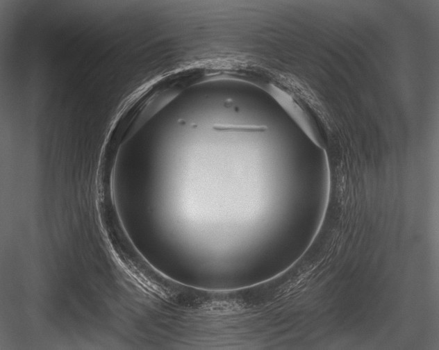 X0000084570536200702231301