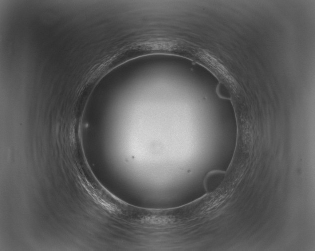 X0000084570537200702231301