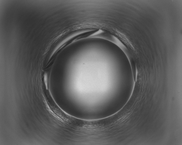 X0000084570538200702231301