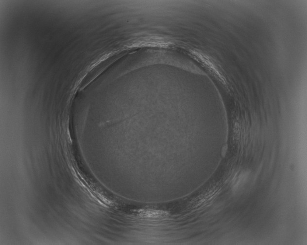 X0000084570539200702231301