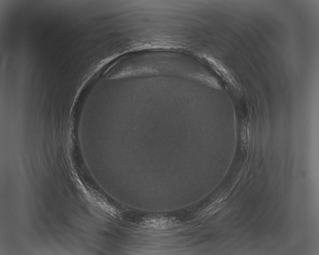 X0000084570540200702231302