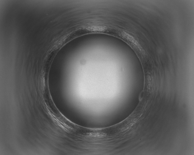 X0000084570541200702231302