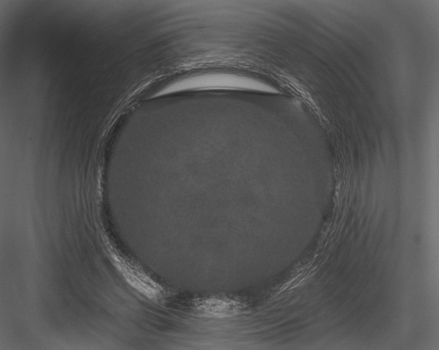 X0000084570542200702231302
