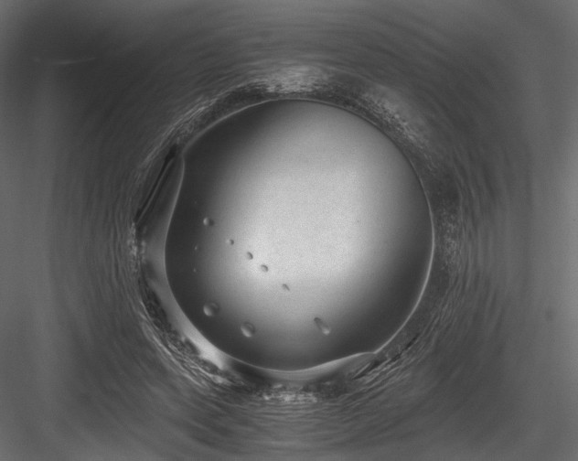 X0000084570543200702231302