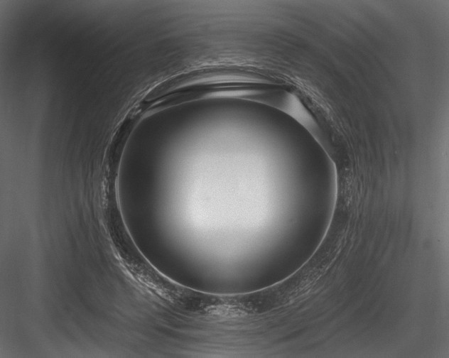 X0000084570544200702231302