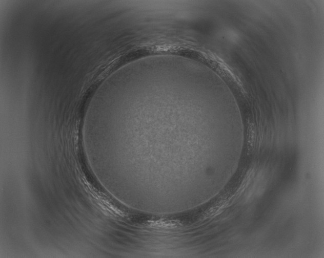 X0000084570545200702231302