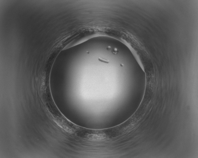 X0000084570548200702231302