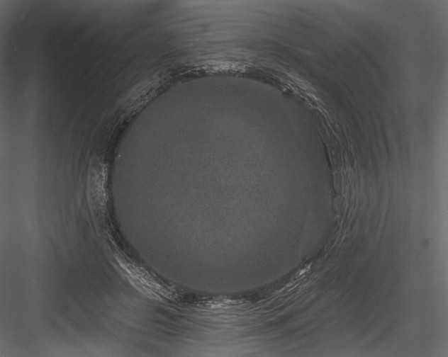 X0000084570550200702231302