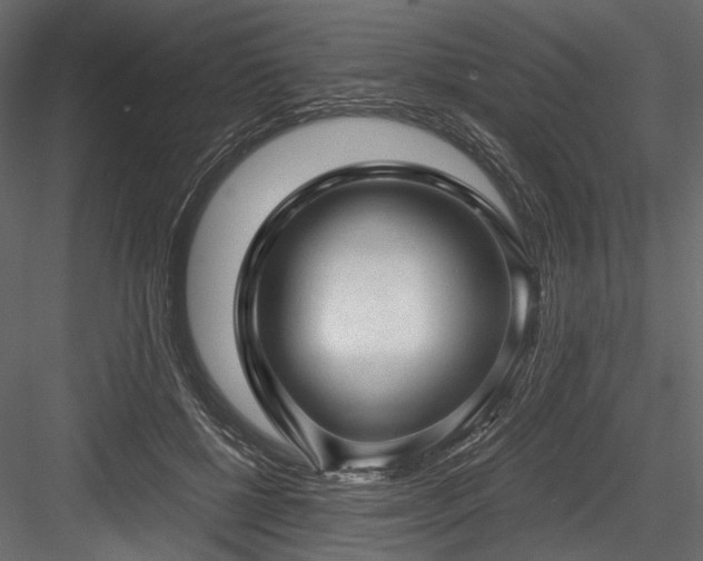 X0000084570552200702231302