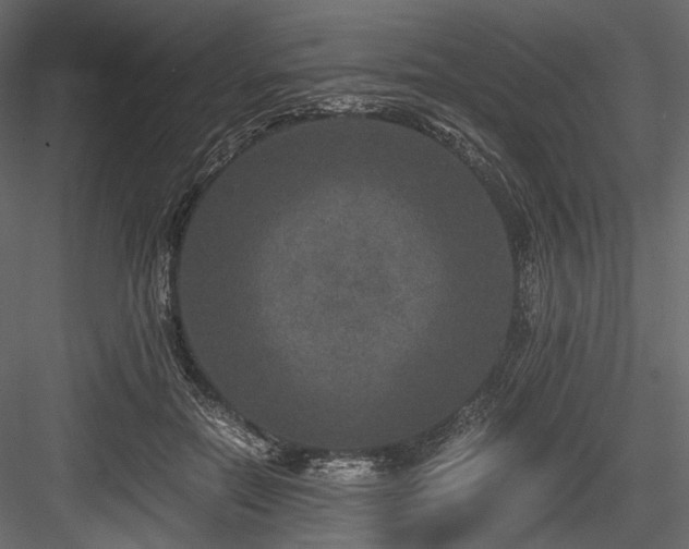 X0000084570554200702231302