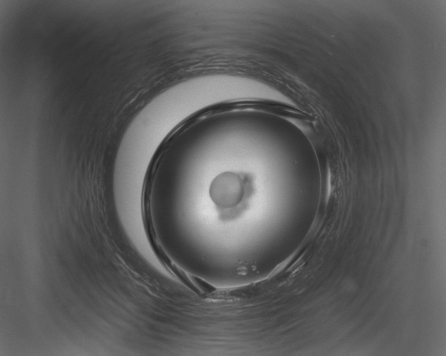 X0000084570556200702231302