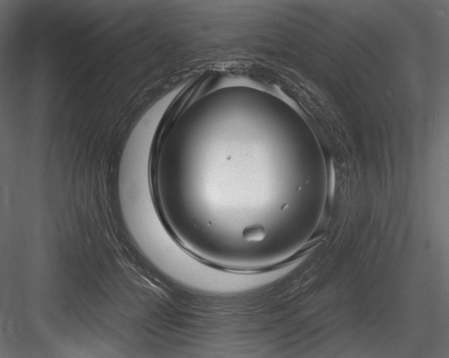 X0000084570558200702231302