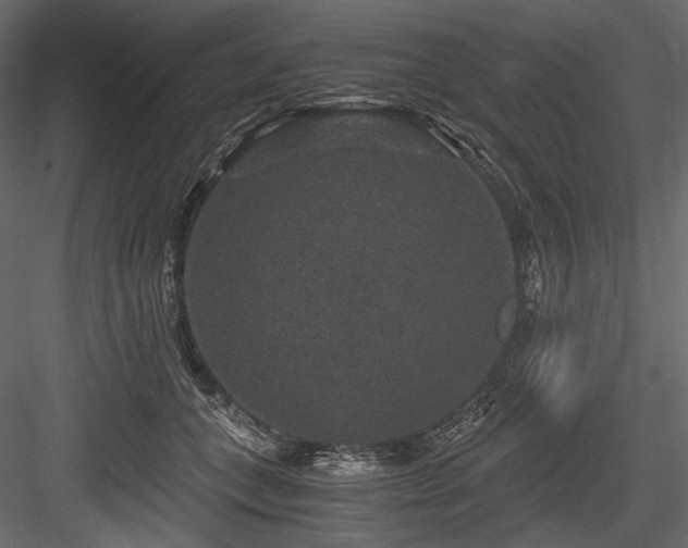 X0000084570559200702231302