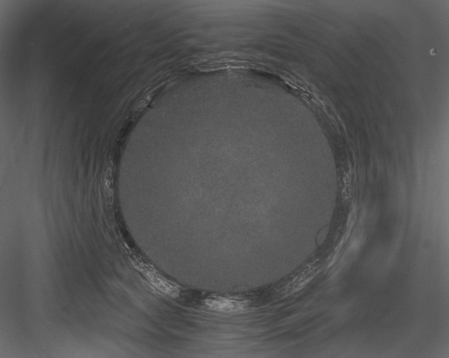 X0000084570561200702231302