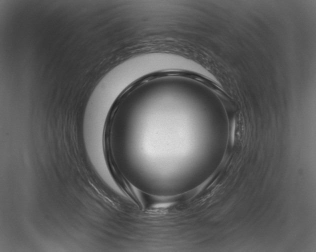 X0000084570562200702231302