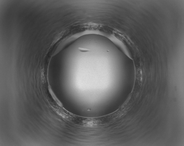X0000084570564200702231302