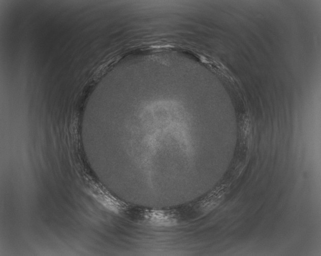 X0000084570565200702231302