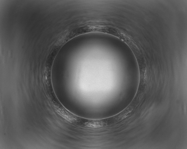 X0000084570567200702231302