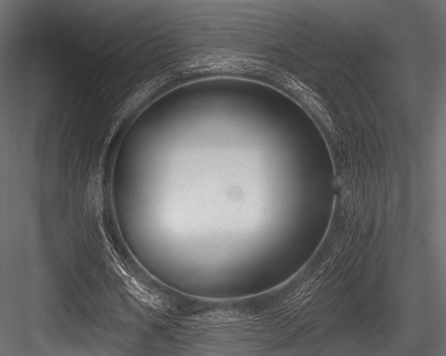 X0000084570578200702231301