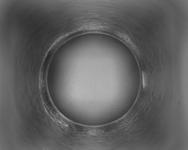 X0000084570579200702231301