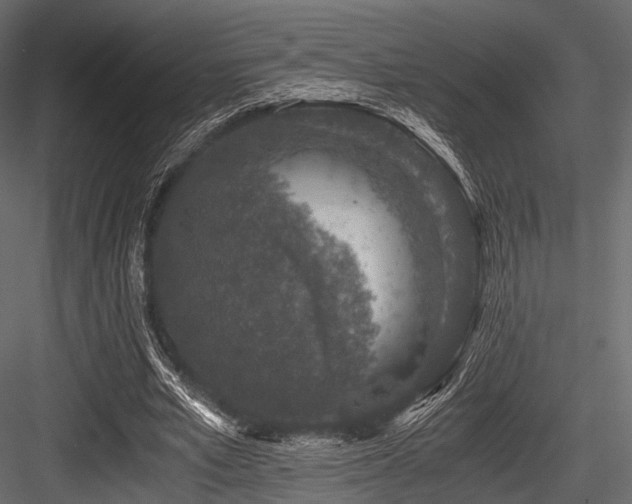 X0000084570581200702231301