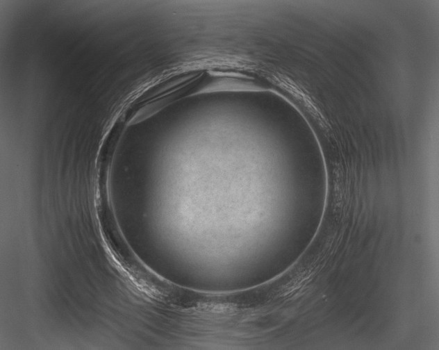 X0000084570582200702231301