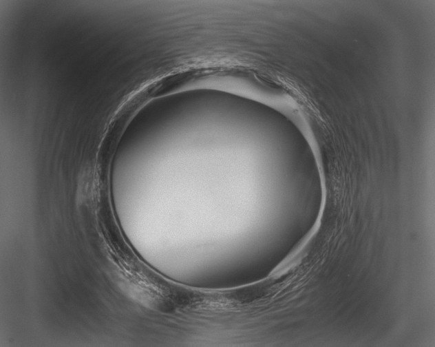 X0000084570583200702231301