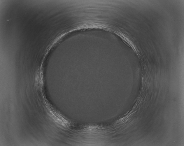 X0000084570584200702231301