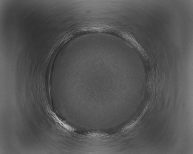 X0000084570585200702231301