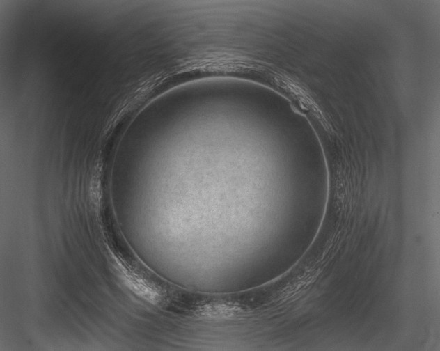 X0000084570586200702231301