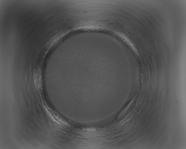 X0000084570588200702231301