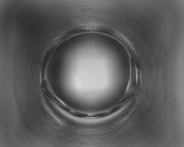 X0000084570589200702231301