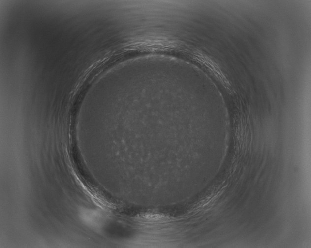 X0000084570590200702231301