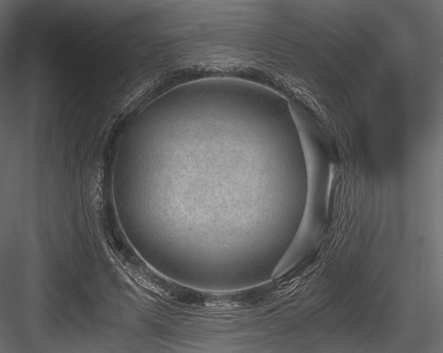 X0000084570591200702231301