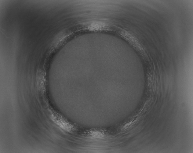X0000084570592200702231301