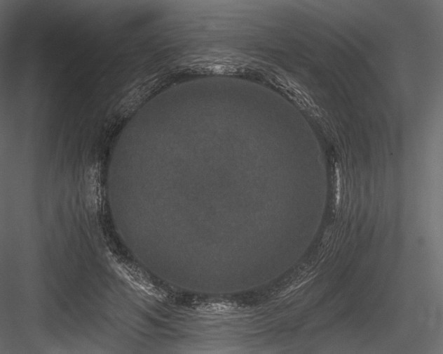 X0000084570594200702231301