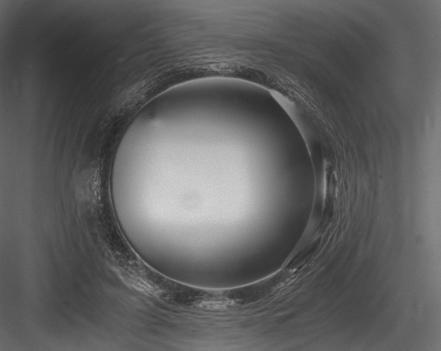 X0000084570595200702231301