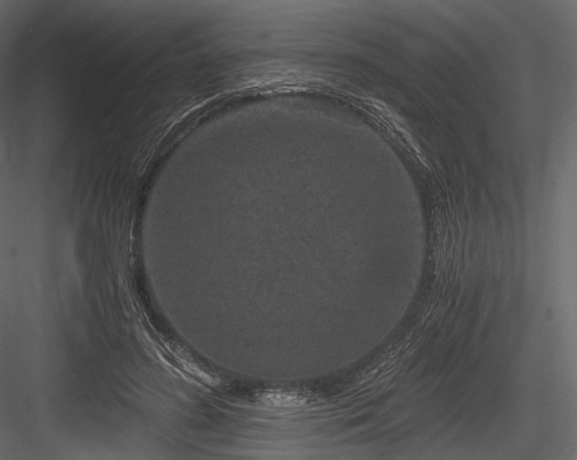 X0000084570596200702231301