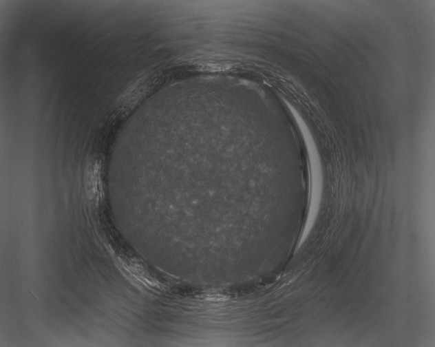 X0000084570598200702231301