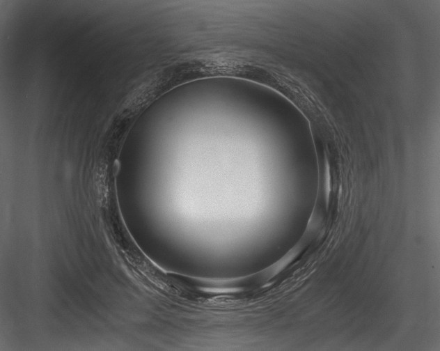 X0000084570599200702231301