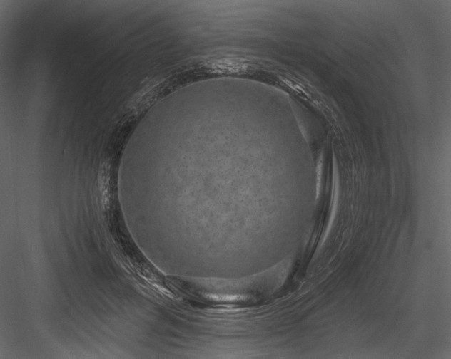 X0000084570600200702231301