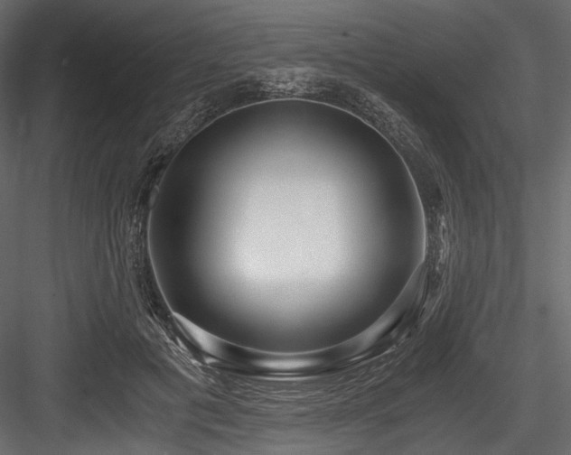 X0000084570601200702231301
