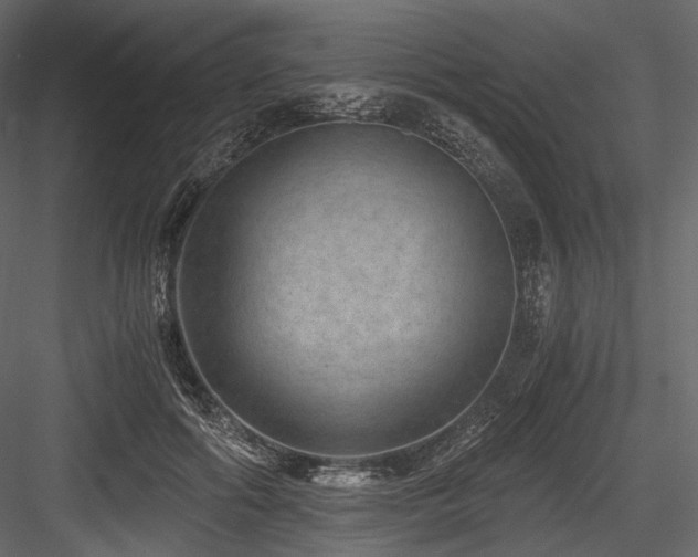 X0000084570602200702231301