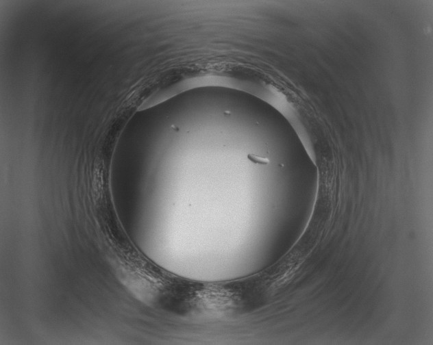 X0000084570603200702231301
