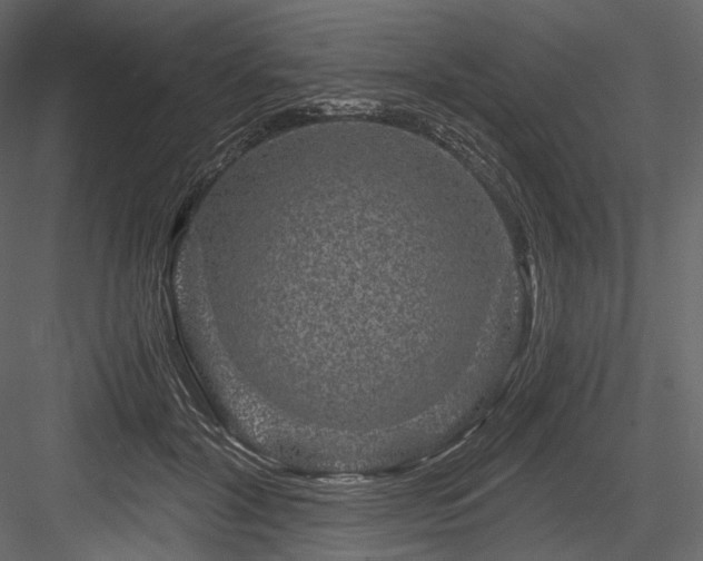 X0000084570604200702231301