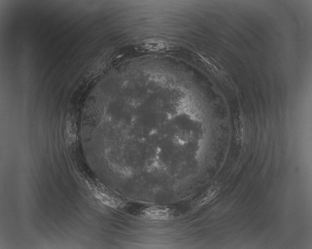 X0000084570606200702231301