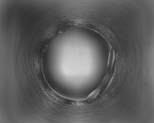 X0000084570607200702231301