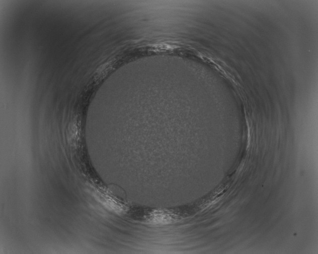 X0000084570608200702231301
